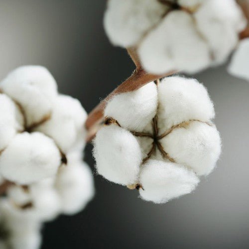 WHY WE CHANGED FROM BAMBOO TO ORGANIC COTTON MUSLIN - Etta Loves