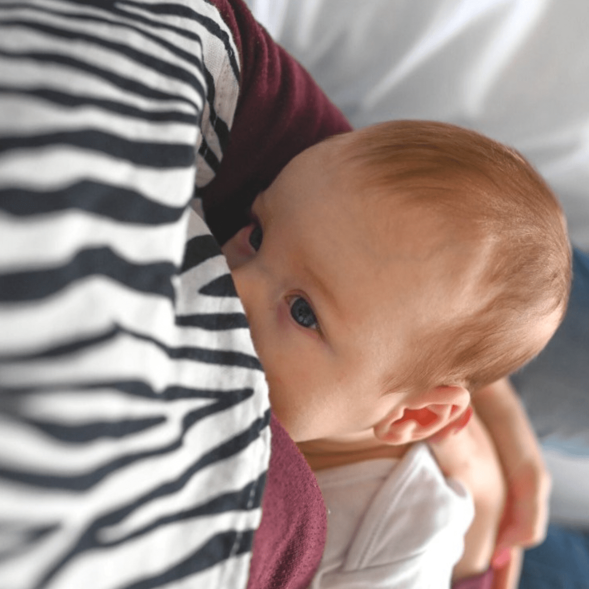 ANIMAL PRINT MUSLIN 3 - PACK - birth to 4 months - Etta Loves