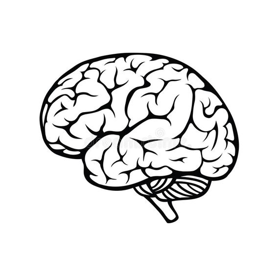 BABY BRAIN IS REAL! - Etta Loves