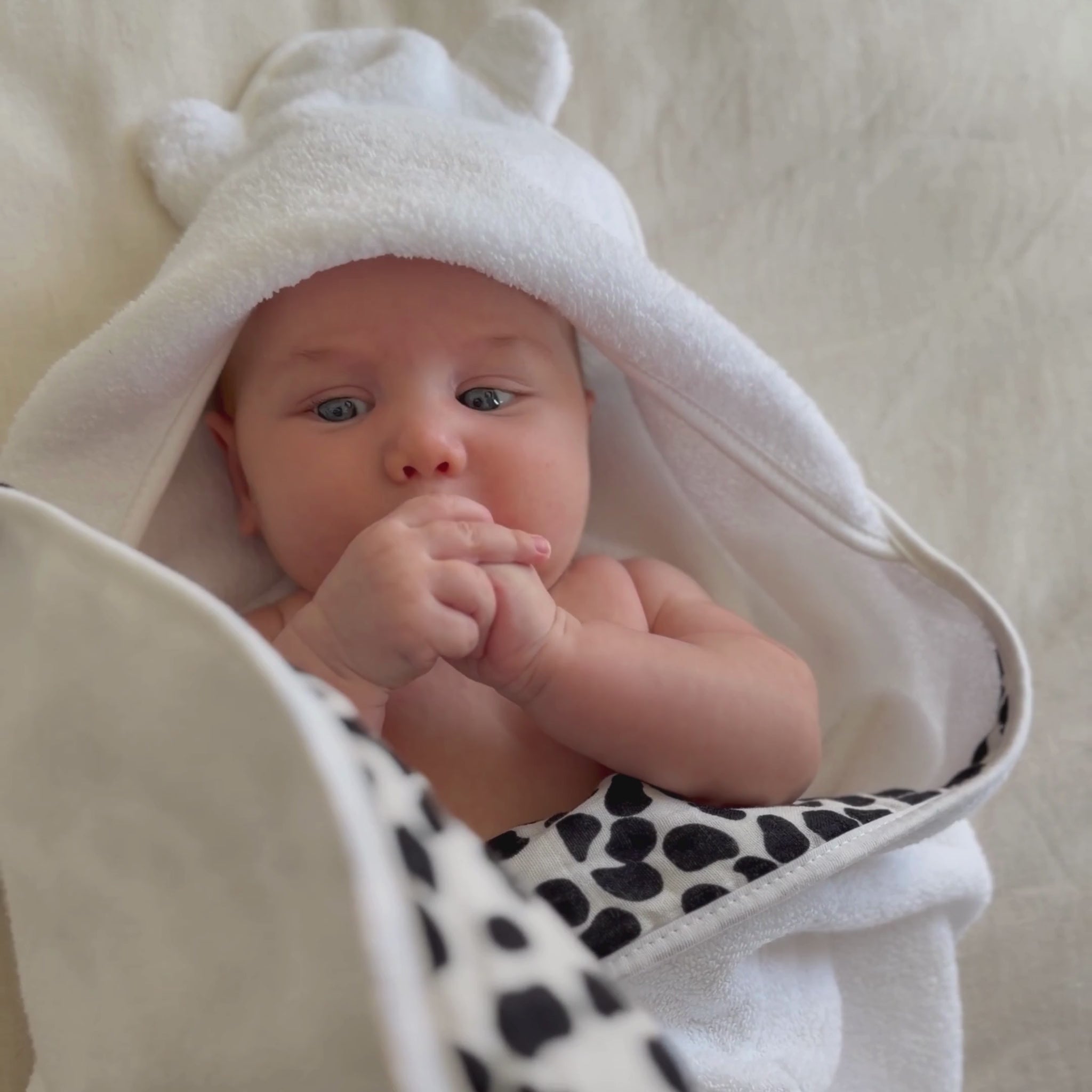 baby staring at Etta Loves sensory dalmatian bath towel