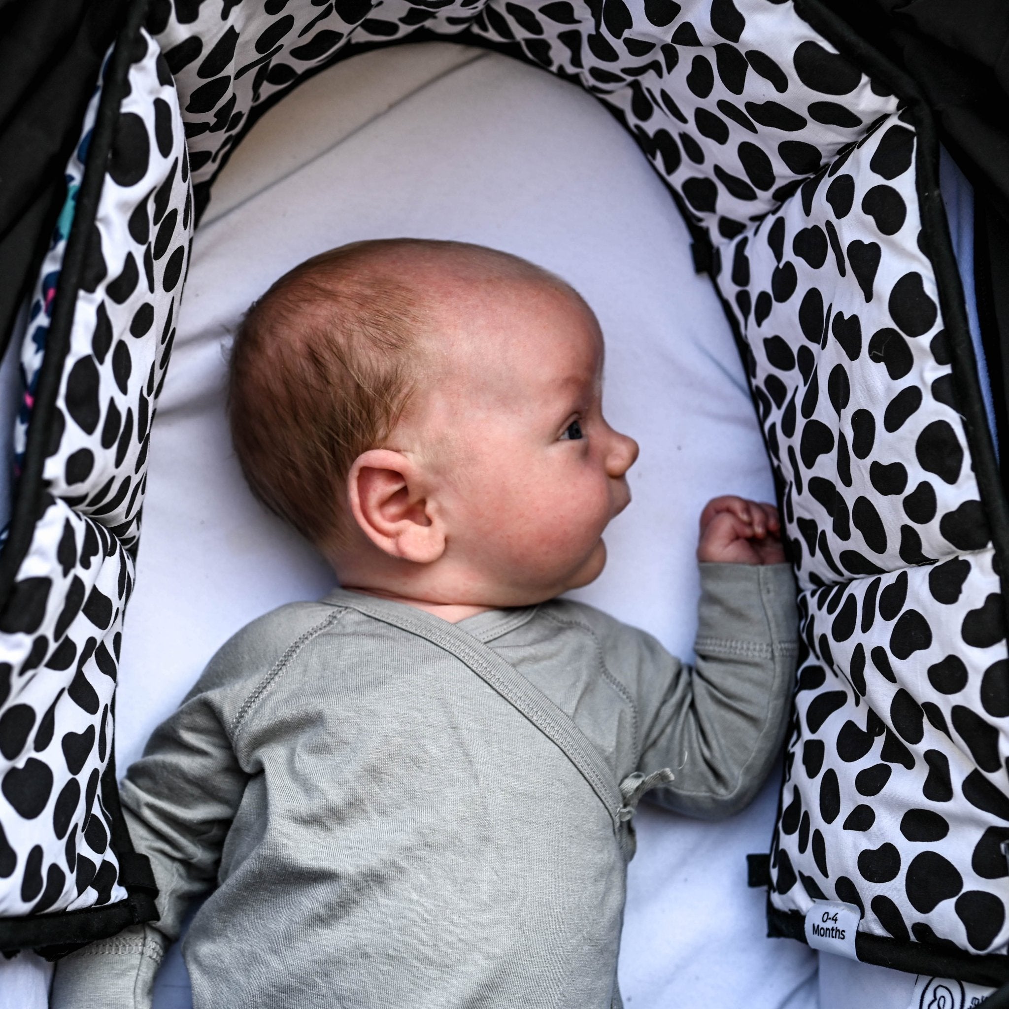ANIMAL PRINT SENSORY STRIP - reversible newborn to 4 months and 5+ months - Etta Loves